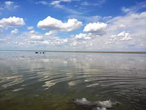 Озеро Эльтон